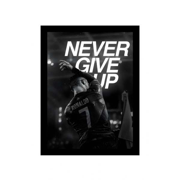 ''Never Give Up Wall Frame''